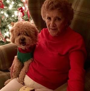 Meet your Posher, Jean